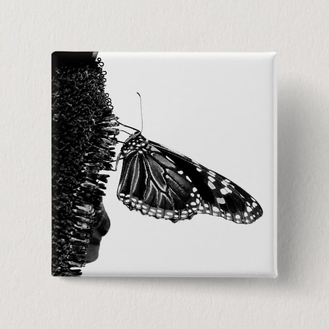 butterfly shy blacq pinback button (Front)