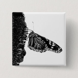 butterfly shy blacq pinback button