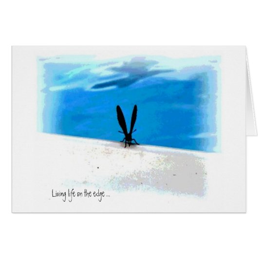 Butterfly Sillouette Graphics Cards (Front Horizontal)