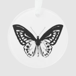 Butterfly sketch, black and white ornament