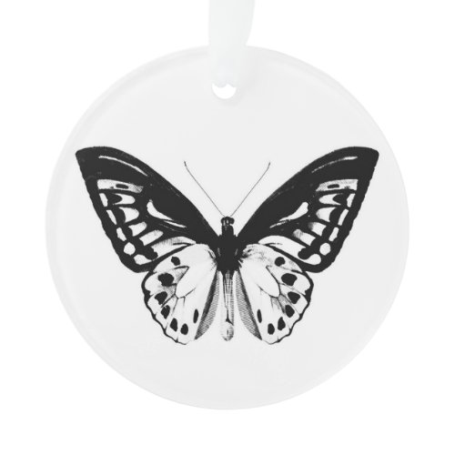 Butterfly sketch, black and white ornament