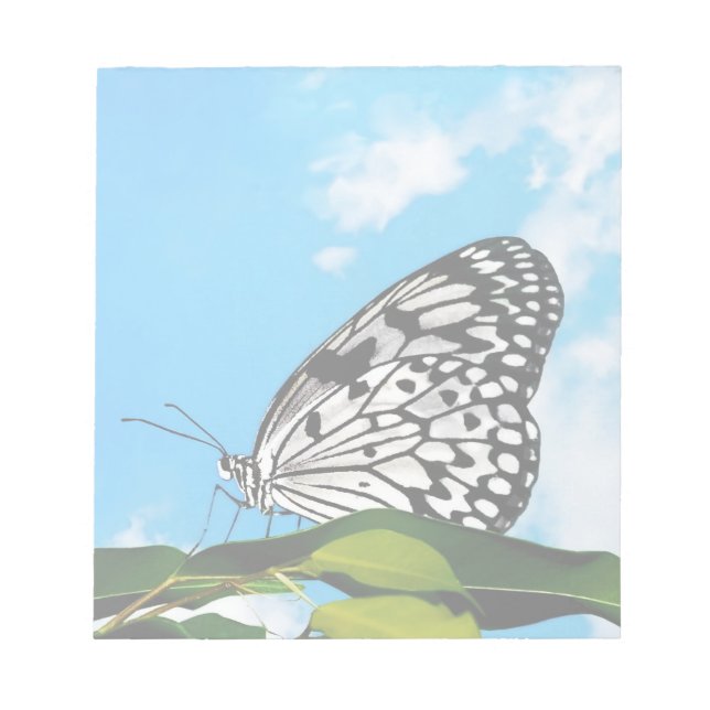 Butterfly & Sky Notepad (Front)