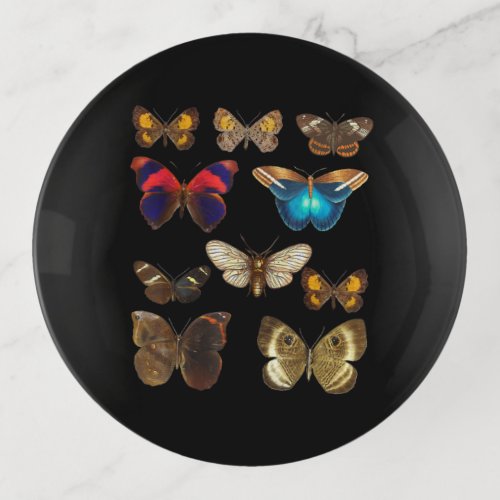 butterfly species gifts butterfly botanical lover trinket tray