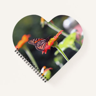 Butterfly Spiral Notebook