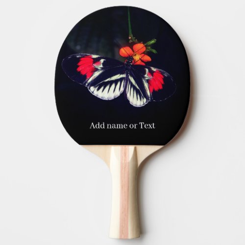 Butterfly Sports  Ping Pong Paddle