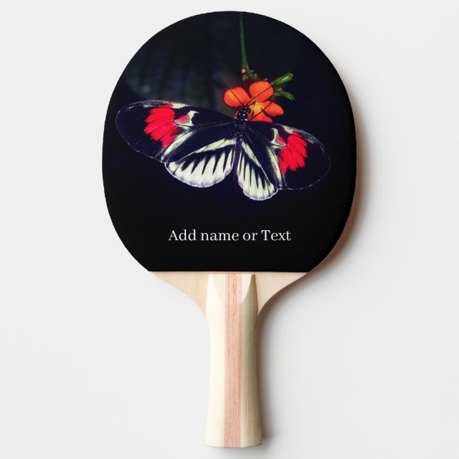 Butterfly Sports  Ping Pong Paddle (Front)