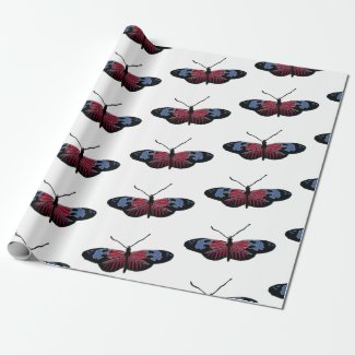 Butterfly Spring Art
