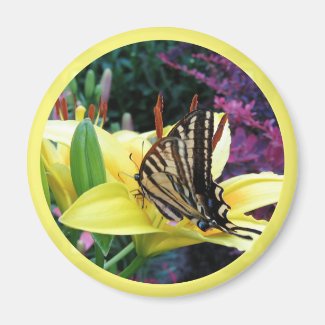 Butterfly Spring Magnet