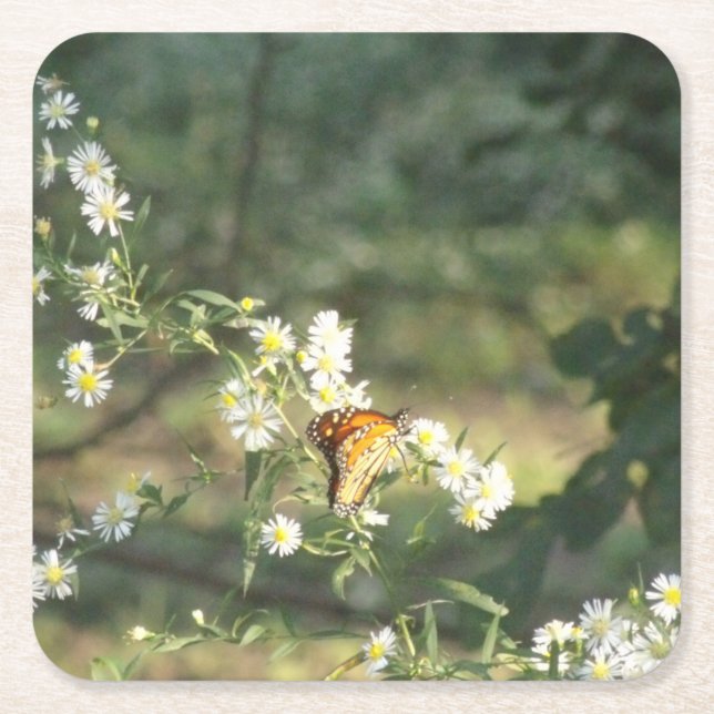 Butterfly Square Paper Coaster (Front)