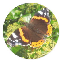 Butterfly Sticker, Sticker