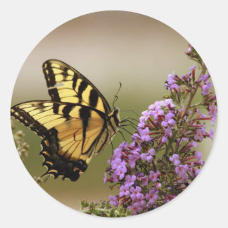 Butterfly Stickers