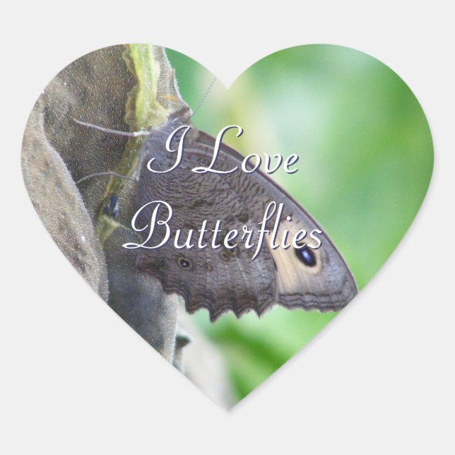 Butterfly Stickers (Front)