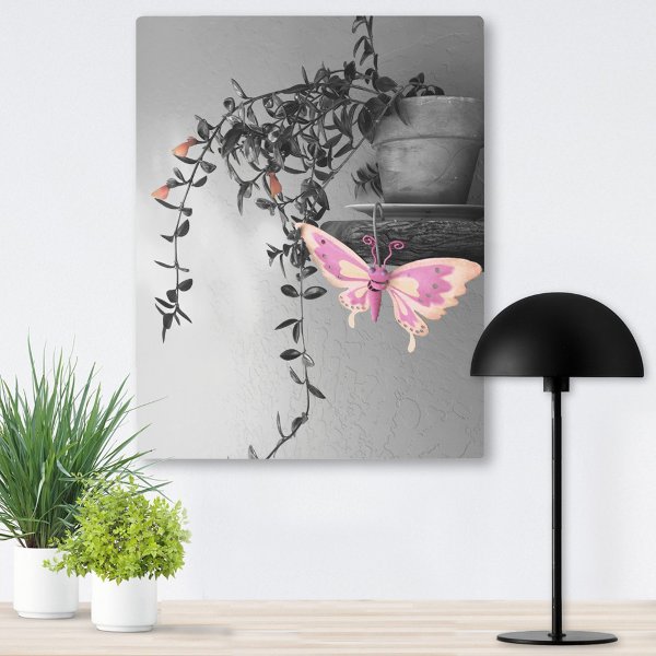 Butterfly Still Life Pink Peach Monochrome Photo