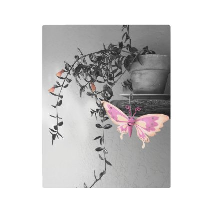 Butterfly Still Life Pink Peach Monochrome Photo Metal Print