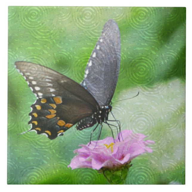 Butterfly Summer Tile (Front)
