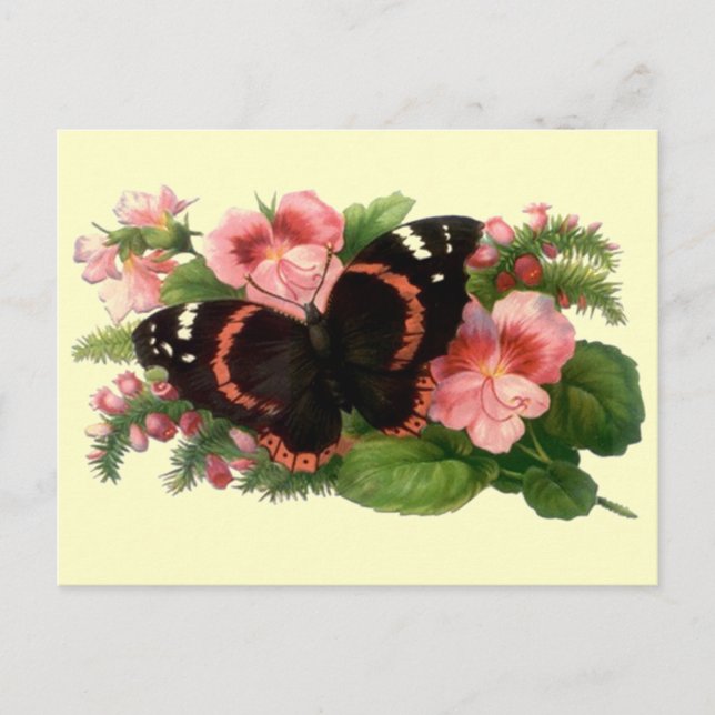 Butterfly & Sweet Pea Floral Garden Gifts Design Postcard (Front)