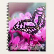 Butterfly Symbolism Calendar