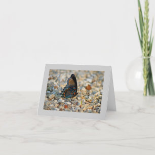 Butterfly Sympathy Card