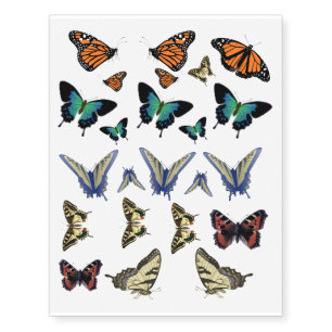Butterfly Tattoos - Butterflies; natural
