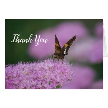 Butterfly Thank You Card by WheatgrassDesigns at Zazzle