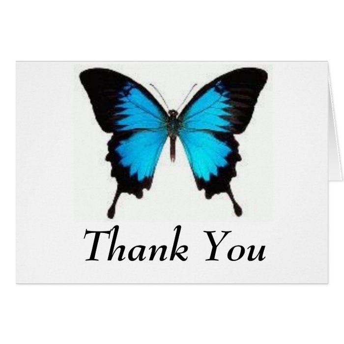 Butterfly, Thank You Greeting Card