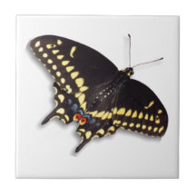 Butterfly Tile - Black Swallowtail