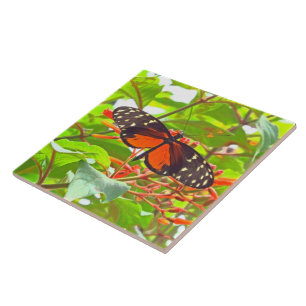 "BUTTERFLY" TILE/TRIVET (PHOTOG) CERAMIC TILE