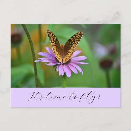Butterfly Time for New Life Adventures Postcard