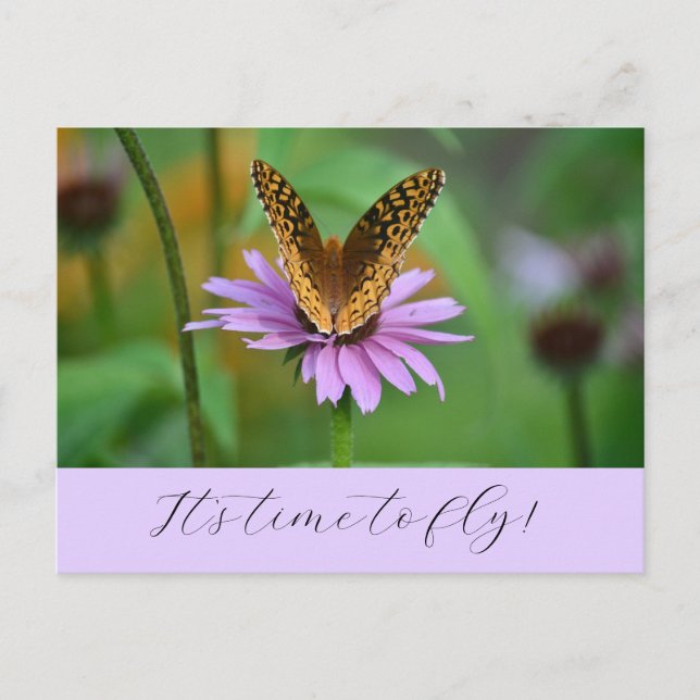 Butterfly Time for New Life Adventures Postcard (Front)