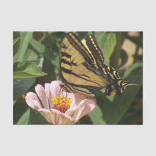 Butterfly Tissue Paper