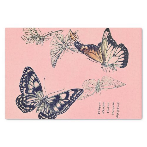 BUTTERFLY Tissue Paper