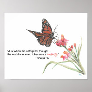 Butterfly Transformation Drawing Art Print