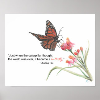 Butterfly Transformation Drawing Art Print