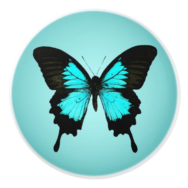 Butterfly - turquoise blue and black ceramic knob (Front)