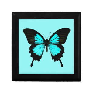 Butterfly - turquoise blue and black gift box