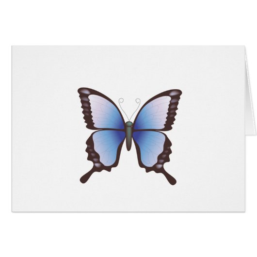 Butterfly: Vector Illustration: (Front Horizontal)