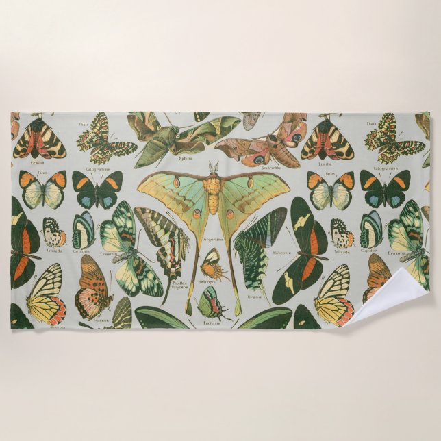 Butterfly Vintage Antique Butterflies Art Beach Towel (Front)