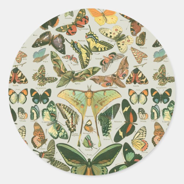 Butterfly Vintage Antique Butterflies Art Classic Round Sticker (Front)