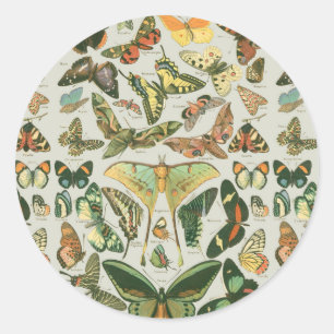 Butterfly Vintage Antique Butterflies Art Classic Round Sticker