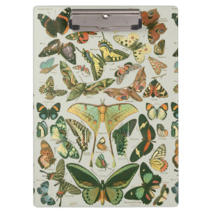 Butterfly Vintage Antique Butterflies Art Clipboard