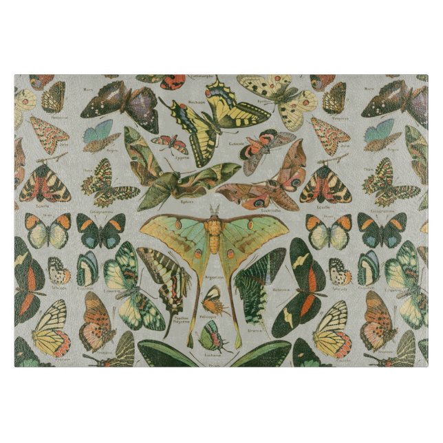 Butterfly Vintage Antique Butterflies Art Cutting Board (Front)