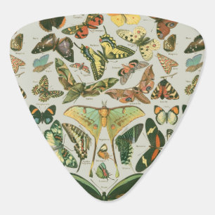 Butterfly Vintage Antique Butterflies Art Guitar Pick