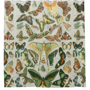 Butterfly Vintage Antique Butterflies Art Shower Curtain