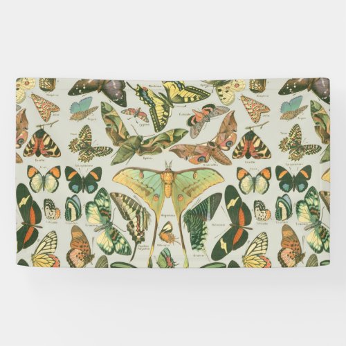 Butterfly Vintage Antique Butterflies Pattern Banner