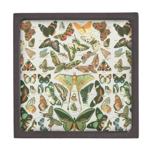 Butterfly Vintage Antique Butterflies Pattern Gift Box