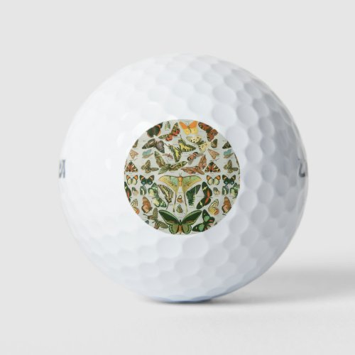 Butterfly Vintage Antique Butterflies Pattern Golf Balls