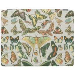 Butterfly Vintage Antique Butterflies Pattern iPad Smart Cover
