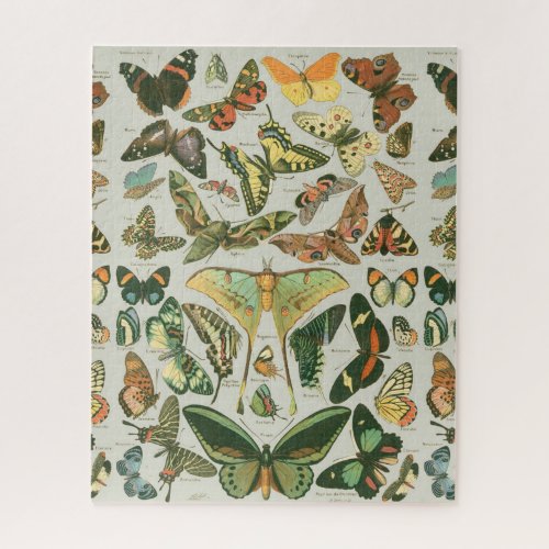 Butterfly Vintage Antique Butterflies Pattern Jigsaw Puzzle