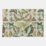 Butterfly Vintage Antique Butterflies Pattern Kitchen Towel at Zazzle