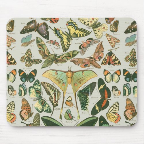 Butterfly Vintage Antique Butterflies Pattern Mouse Pad